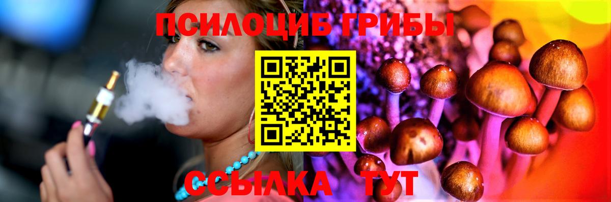 Псилоцибиновые грибы Cubensis Гусев