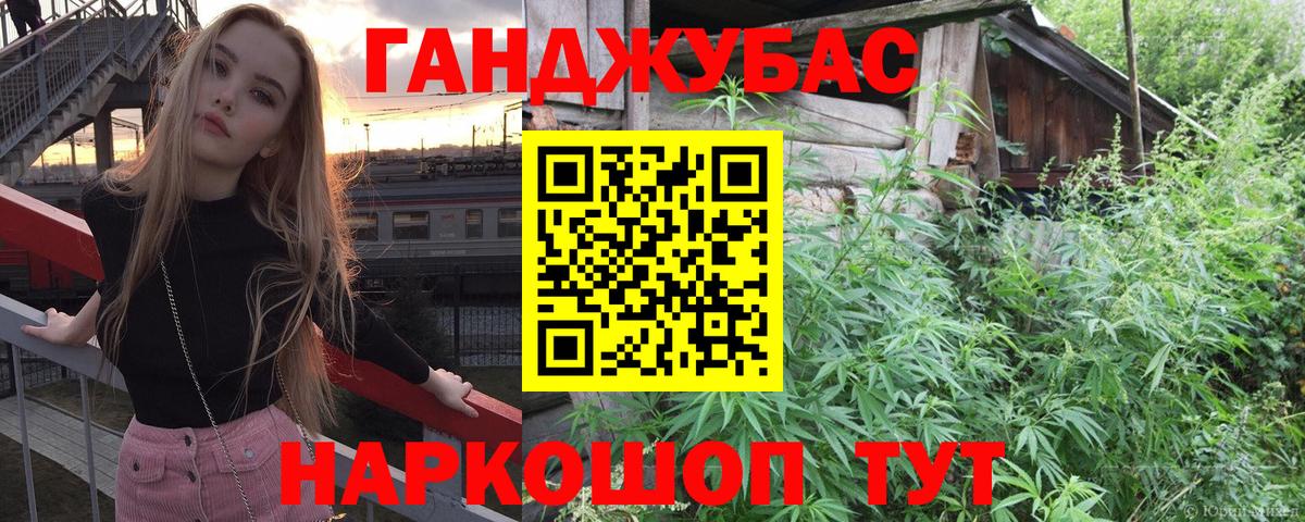 Каннабис планчик Гусев
